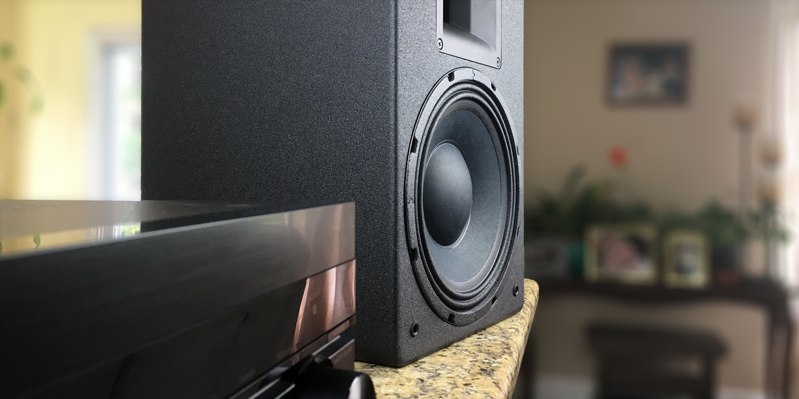Picture of MT-110 loudspeaker on a counter