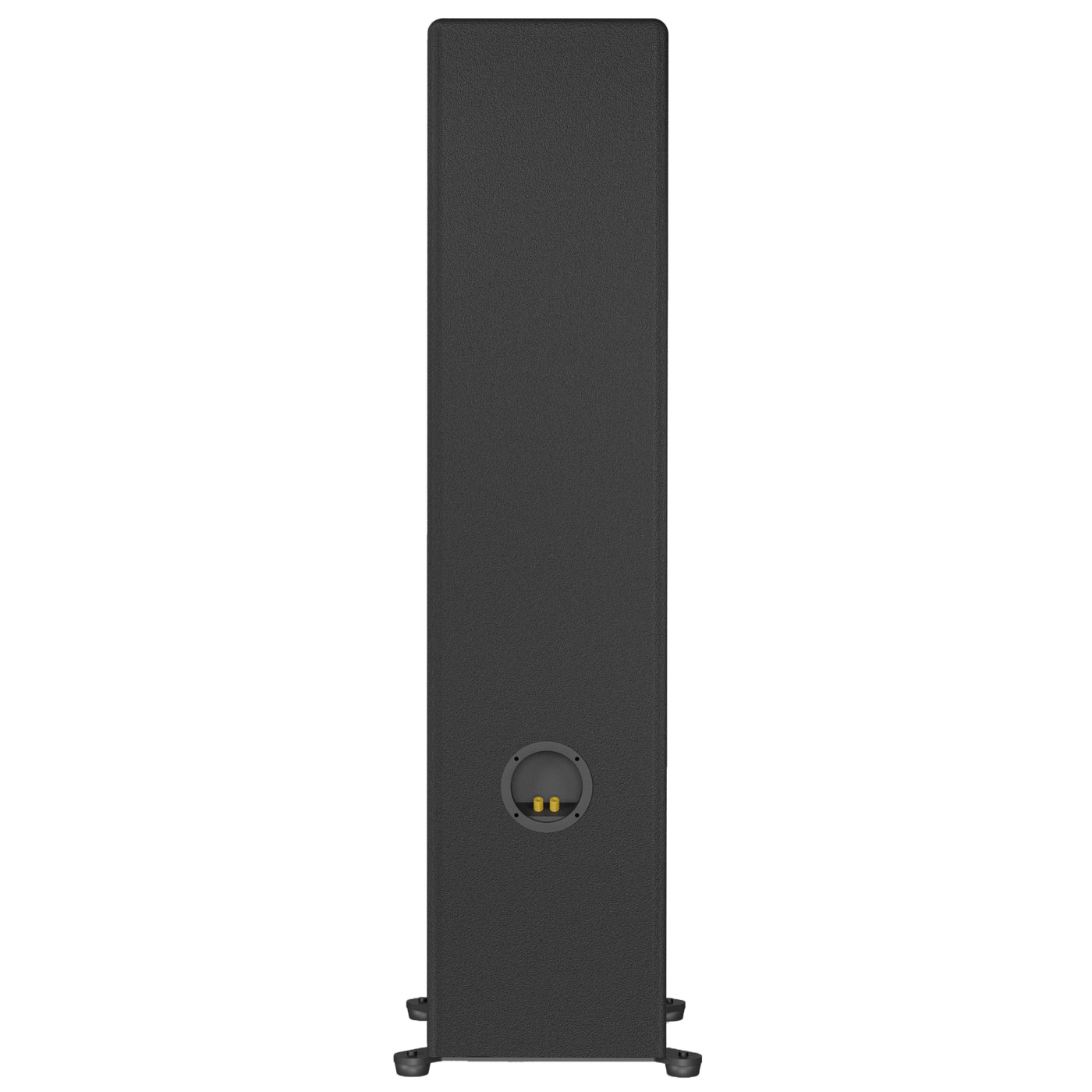 MTM-210T loudspeaker view from the back
