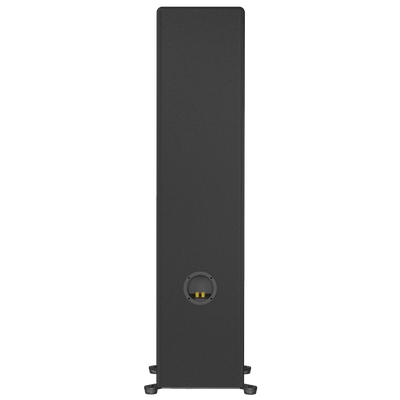 MTM-210T loudspeaker view from the back