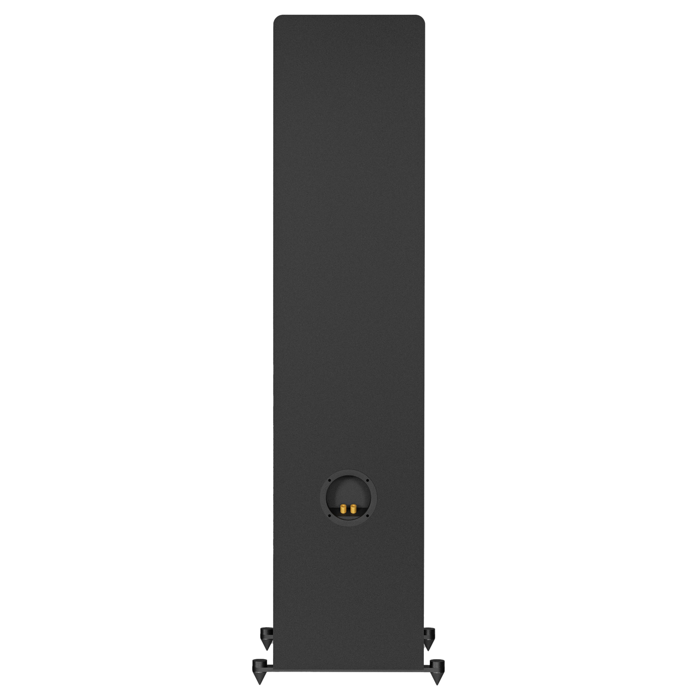 MTM-210T-M loudspeaker view from the back