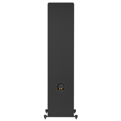 MTM-210T-M loudspeaker view from the back