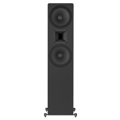 MTM-210T-M loudspeaker view from the front